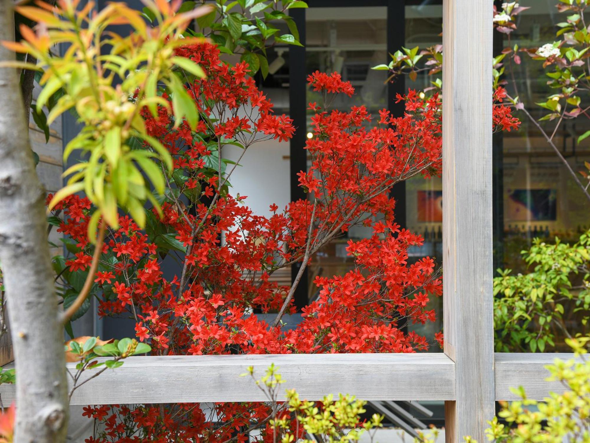Ref Kyoto Hachijoguchi By Vessel Hotels Exterior foto